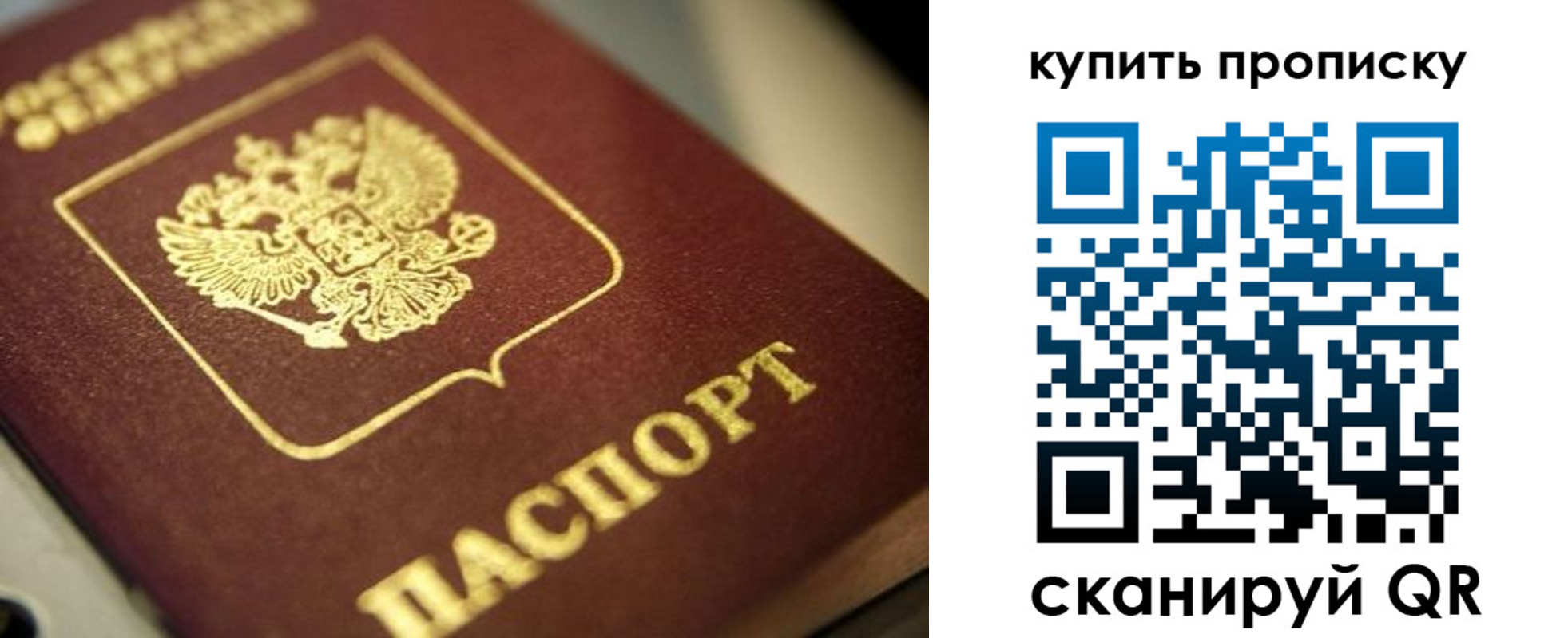 прописка поиск в Чечне